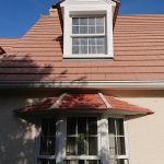 renovation chien assis chessy 77