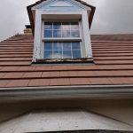 renovation chien assis chessy 77 3