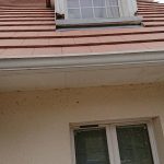 renovation chien assis chessy 77 6